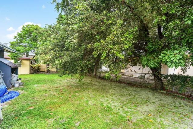 a view of a backyard with trees