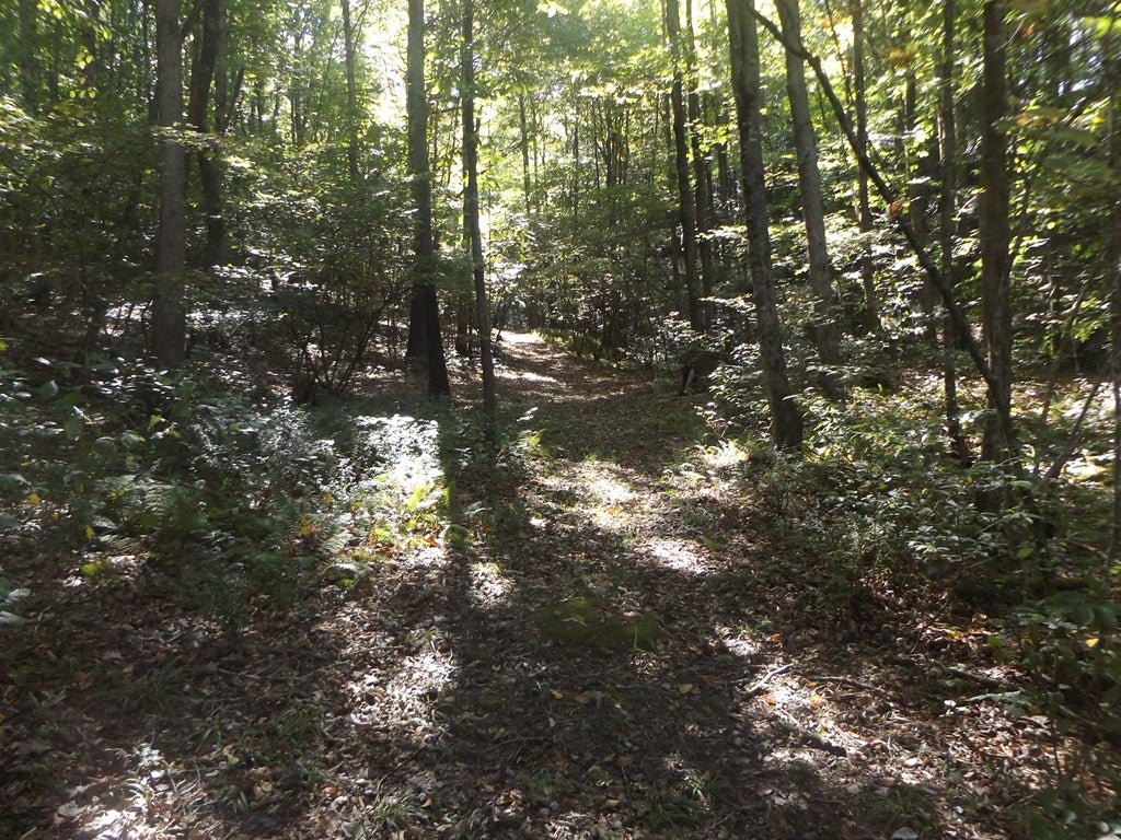 Tbd Hylton Road Dugspur, VA 24325 - Photo 11 of 32 Gallery Image 11