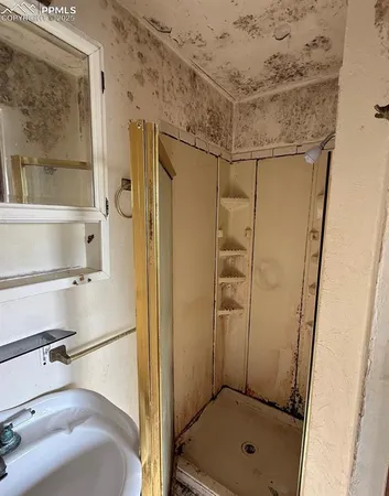 a bathroom with a shower and a sink