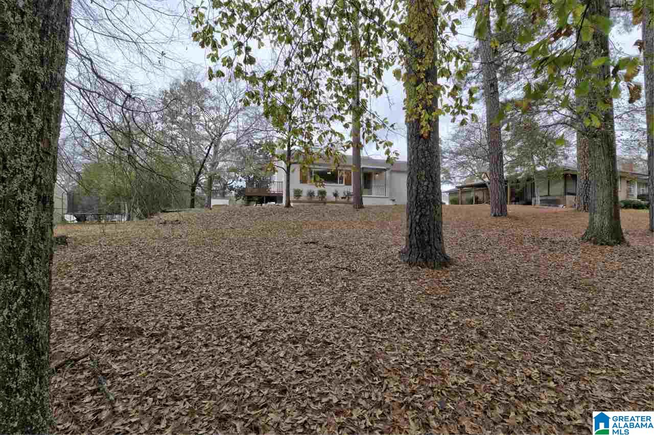106 Crest Circle North Jasper, AL 35501 - Photo 5 of 32