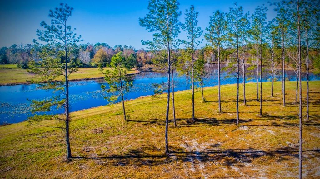 0 Malvern Road Dothan, AL 36301 - Photo 1 of 1