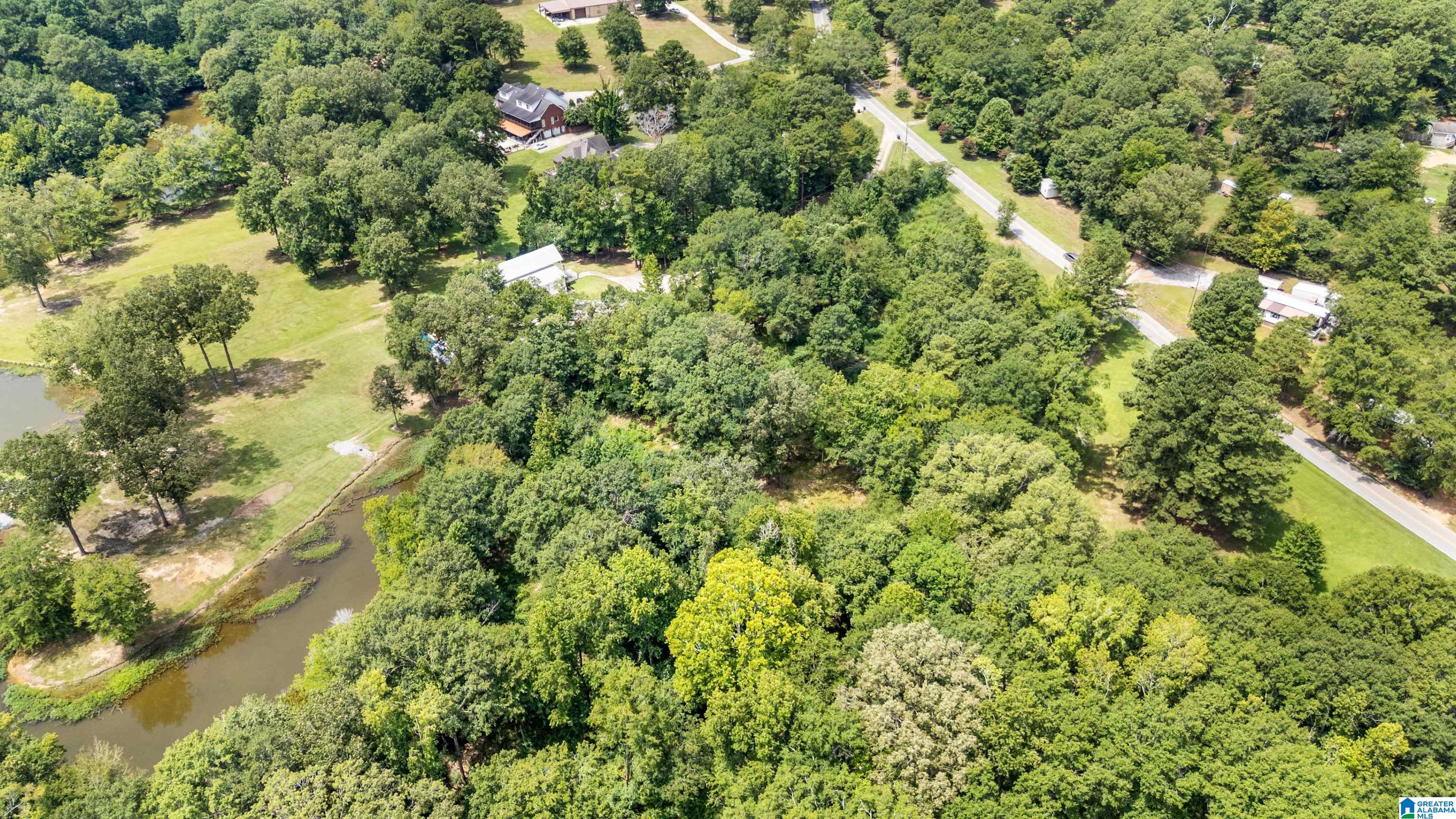 Lot 7 Hebb Road, Unit 7A Wilsonville, AL 35186 - Photo 7 of 29 Gallery Image 7