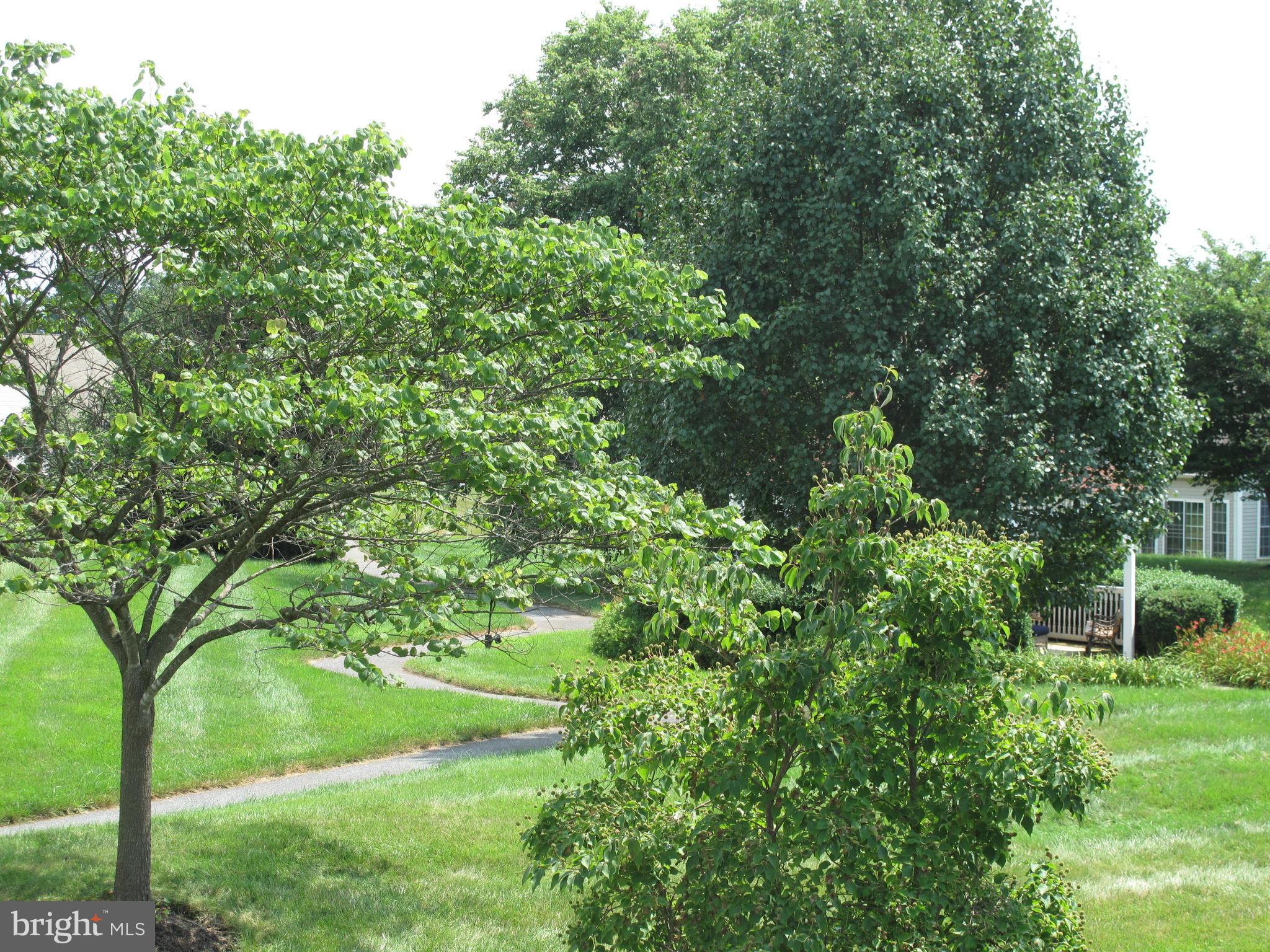 102 Butterfly Drive, Unit 55 Taneytown, MD 21787 - Photo 29 of 43