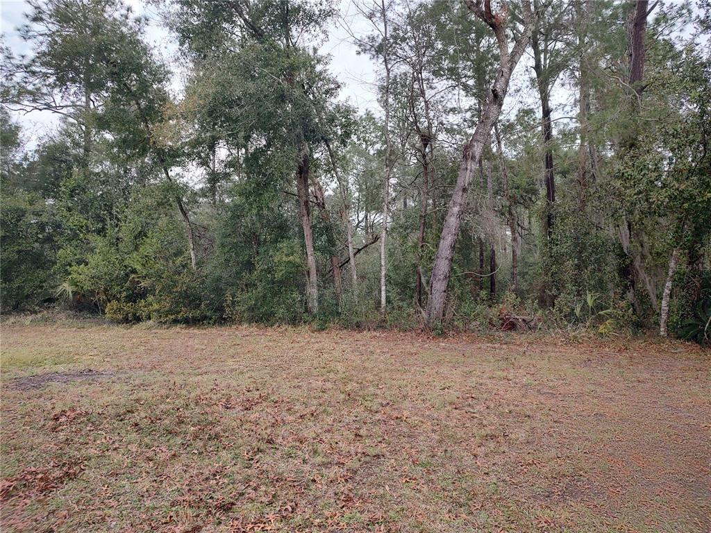 8623 Southwest 108th Pl Road Ocala, FL 34481 - Photo 28 of 33 Gallery Image 28