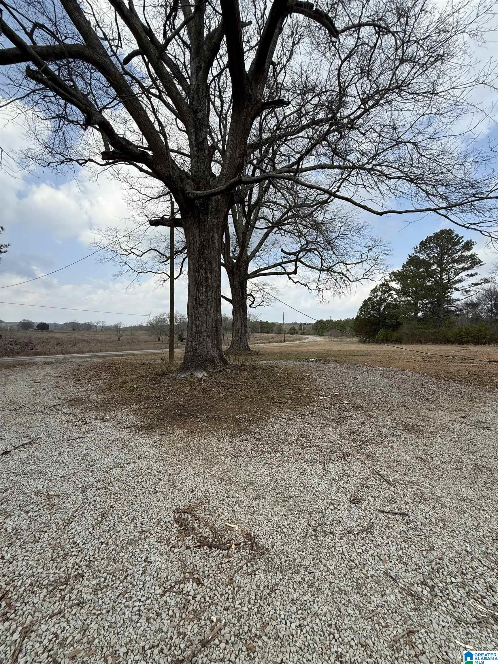2671 Hay Valley Road, Unit TBD Parrish, AL 35580 - Photo 5 of 6