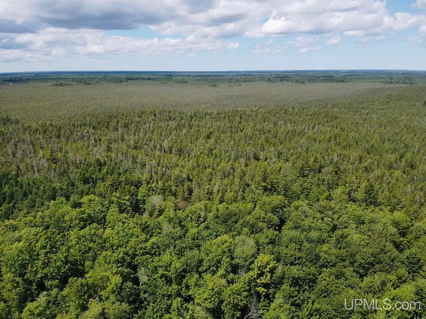 15.5 15.5 Road Wetmore, MI 49895 - Photo 13 of 14