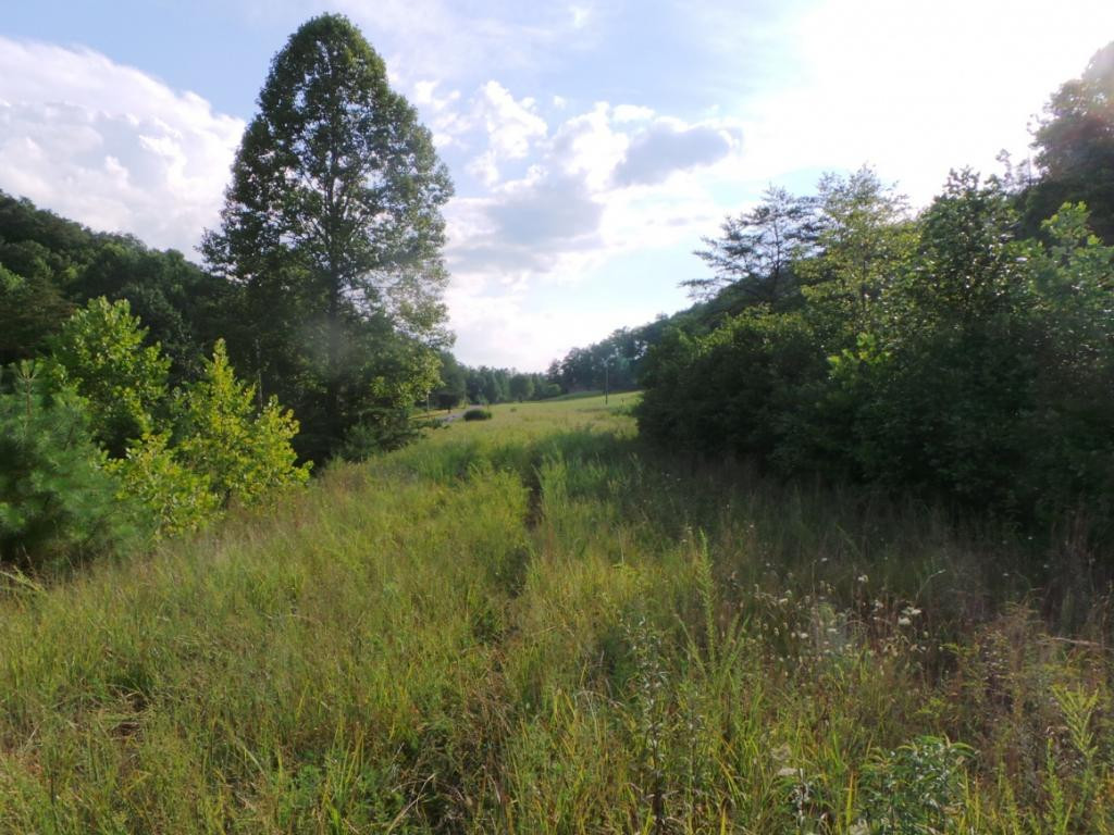 0 High Rock Road Rogersville, TN 37857 - Photo 14 of 20 Photo 14