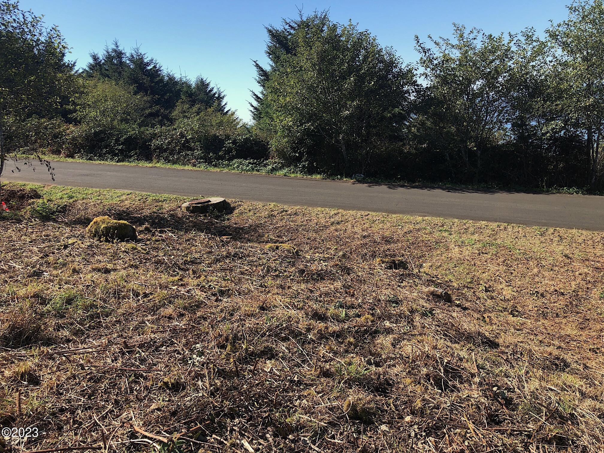 5400 Horizon Hill Road Yachats, OR 97498 - Photo 11 of 12 Looking SouthWest
