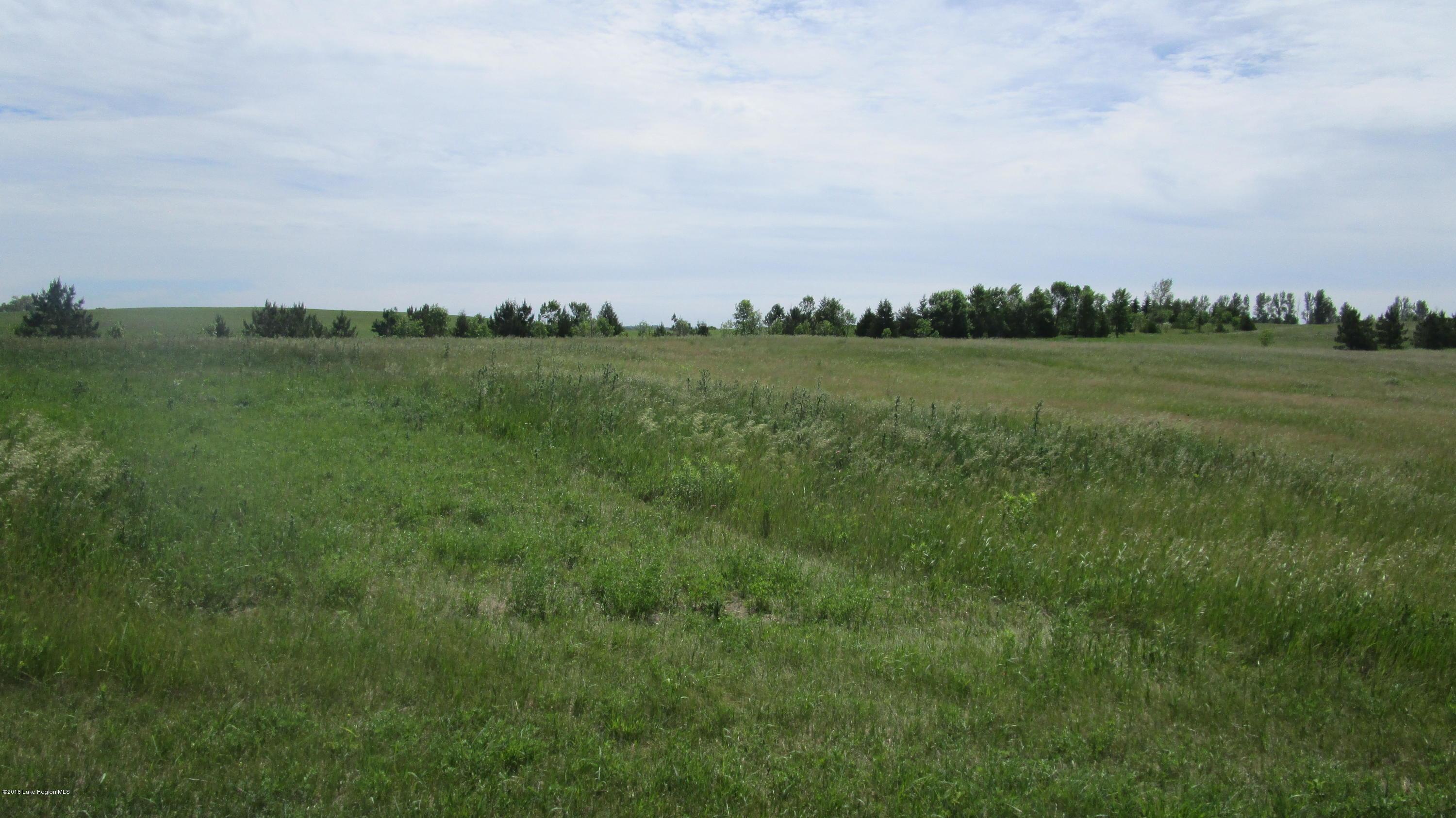 24829 East Rivers Bend Road Fergus Falls, MN 56537 - Photo 1 of 1 Gallery Image 1