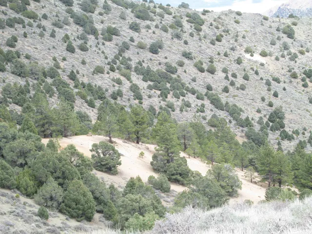 a view of an ocean and beach