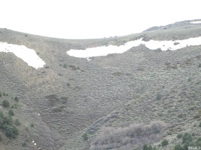 a view of a dry yard with mountains in the background