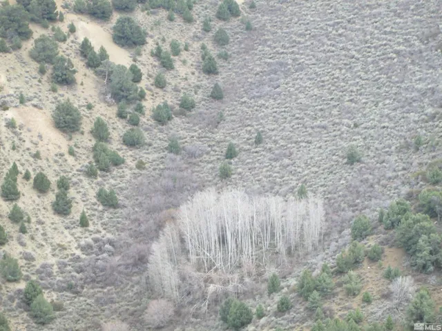 $79,000 | 430125 Mt Davidson Virginia City Nv 89440, Virginia City, NV 89440