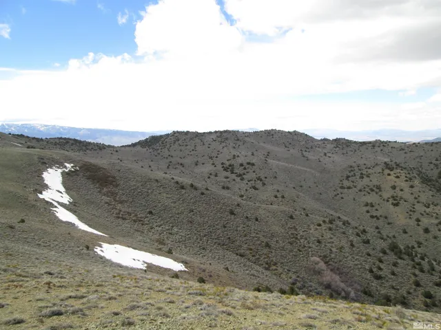 a view of a dry yard with mountains in the background