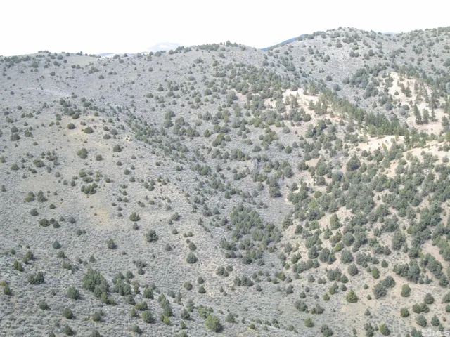 a view of a dry field