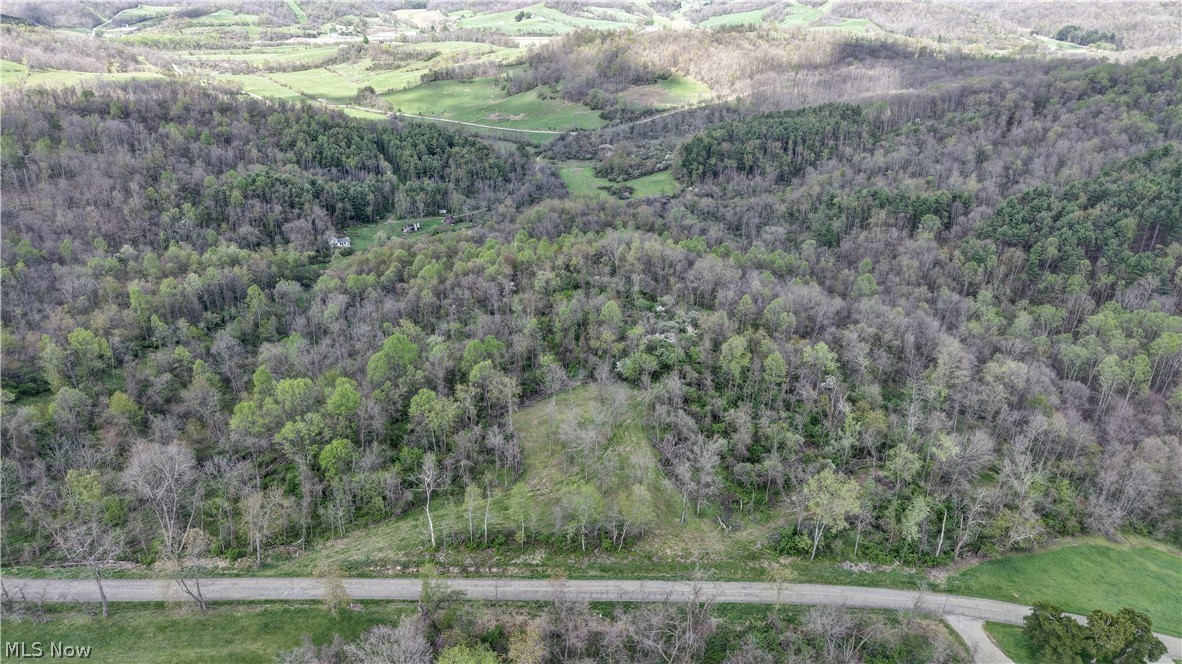 Deersville Ridge Road Cadiz, OH 43907 - Photo 2 of 41