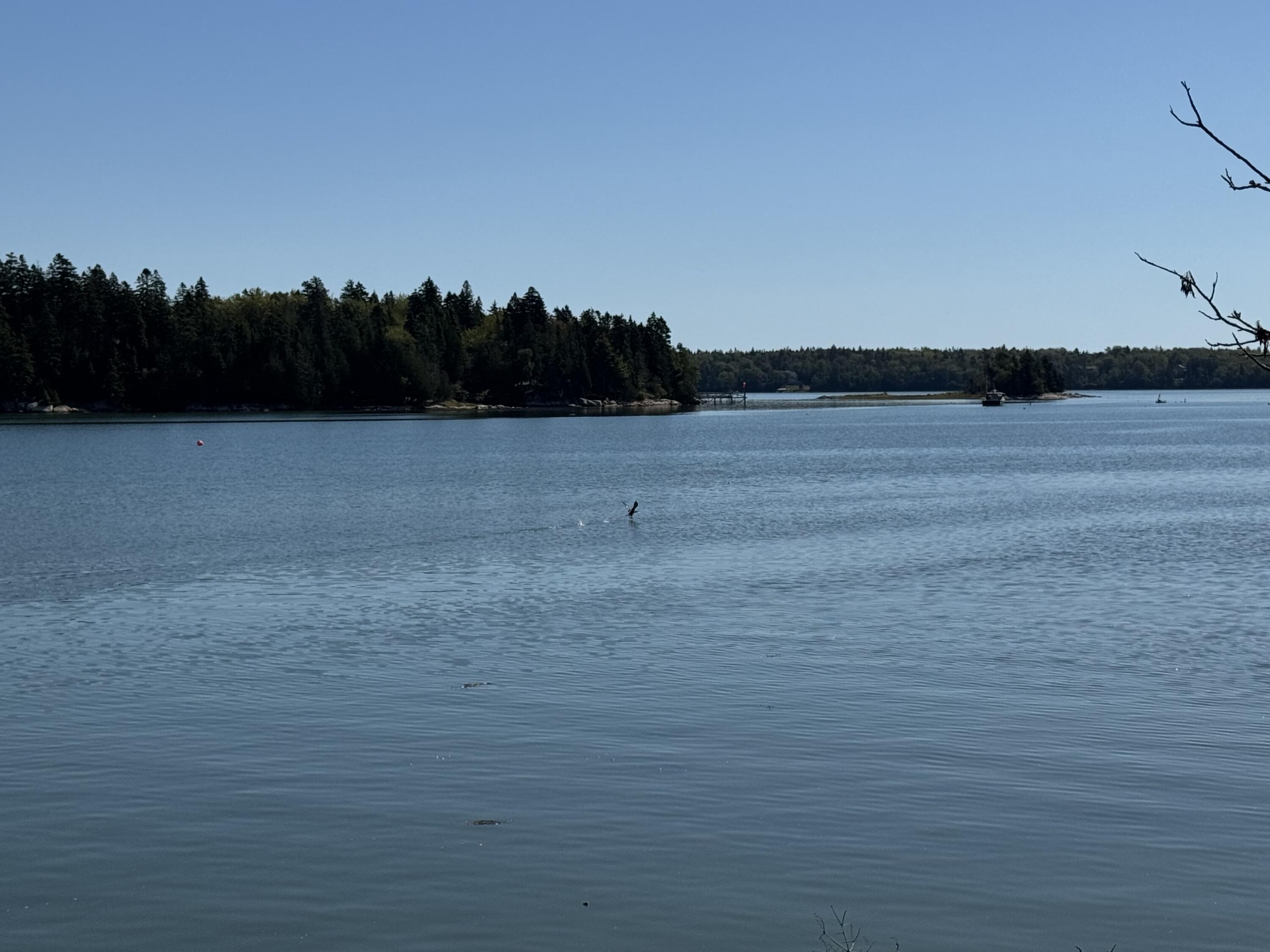 12 Quiet Shore Steuben, ME 04680 - Photo 23 of 23 IMG_6426