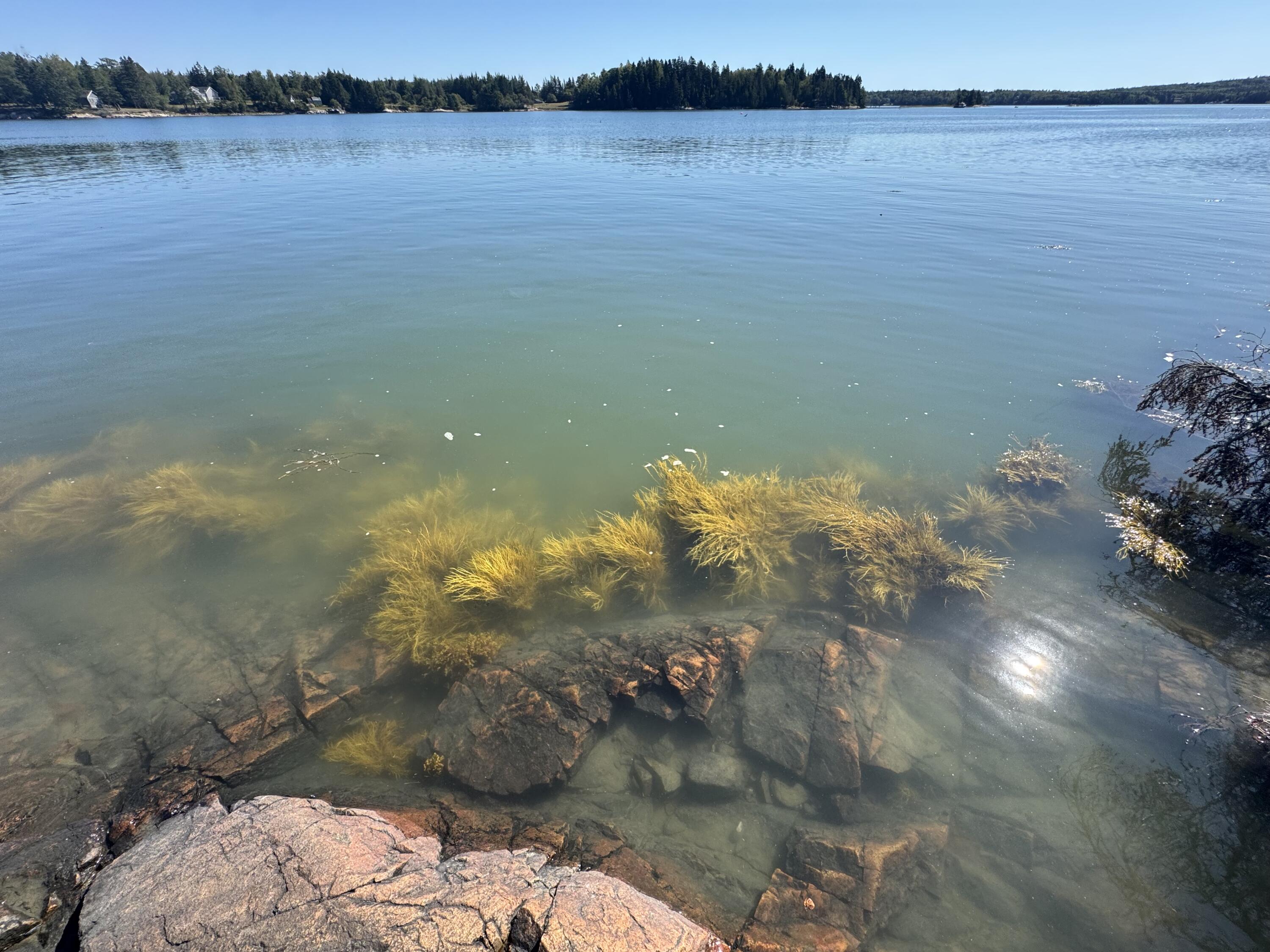 12 Quiet Shore Steuben, ME 04680 - Photo 7 of 23 IMG_6428
