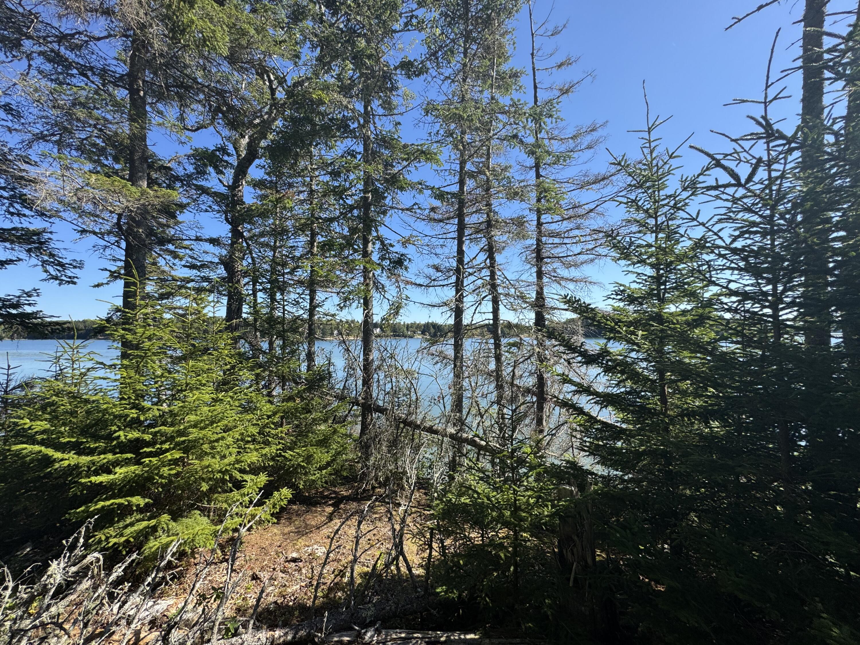 12 Quiet Shore Steuben, ME 04680 - Photo 10 of 23 IMG_6423