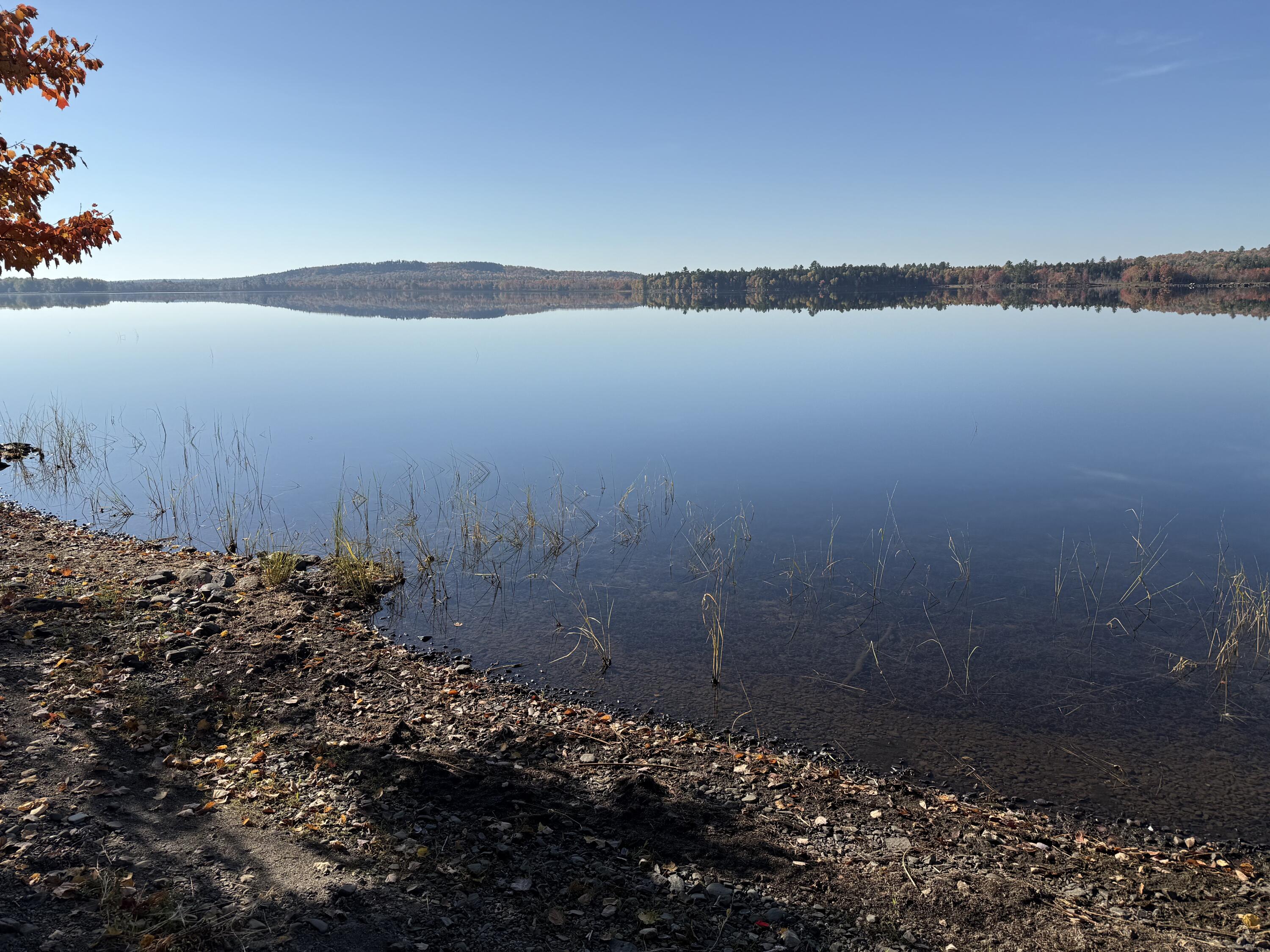 55 McNelly Road Island Falls, ME 04747 - Photo 2 of 39