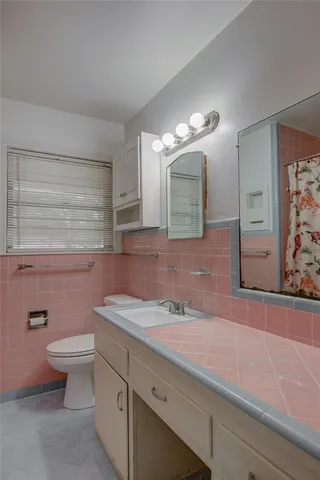 a bathroom with a sink a toilet and mirror