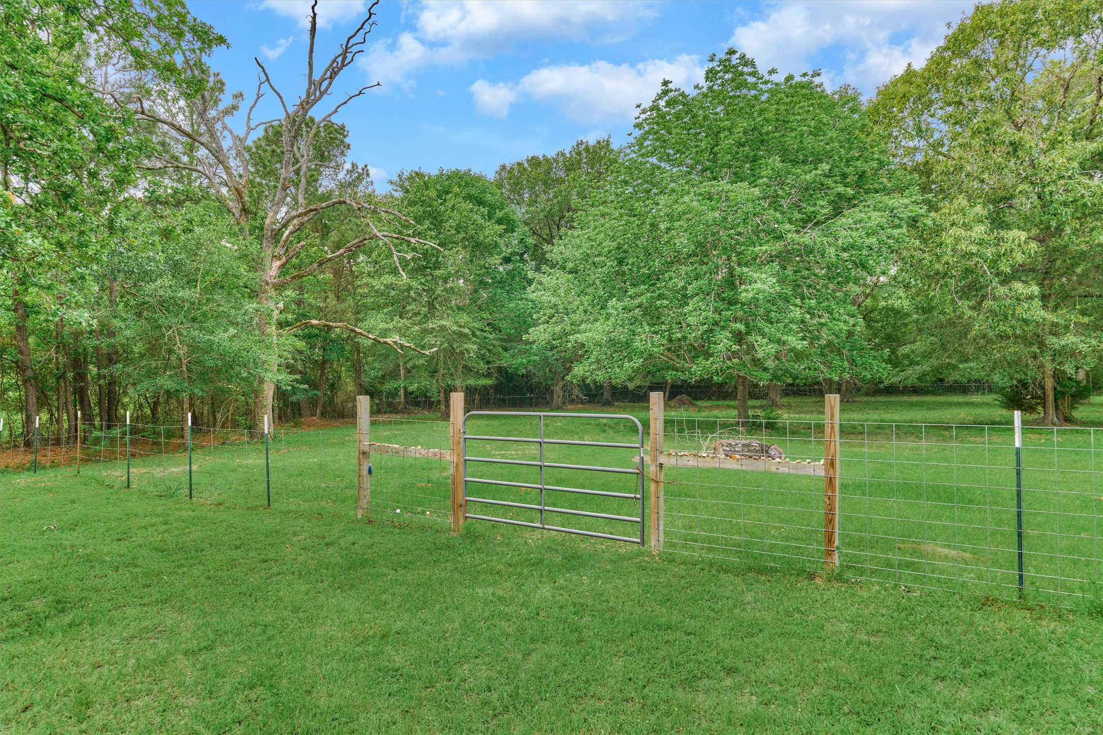 88 Piney Point Road Huntsville, TX 77340 - Photo 16 of 46