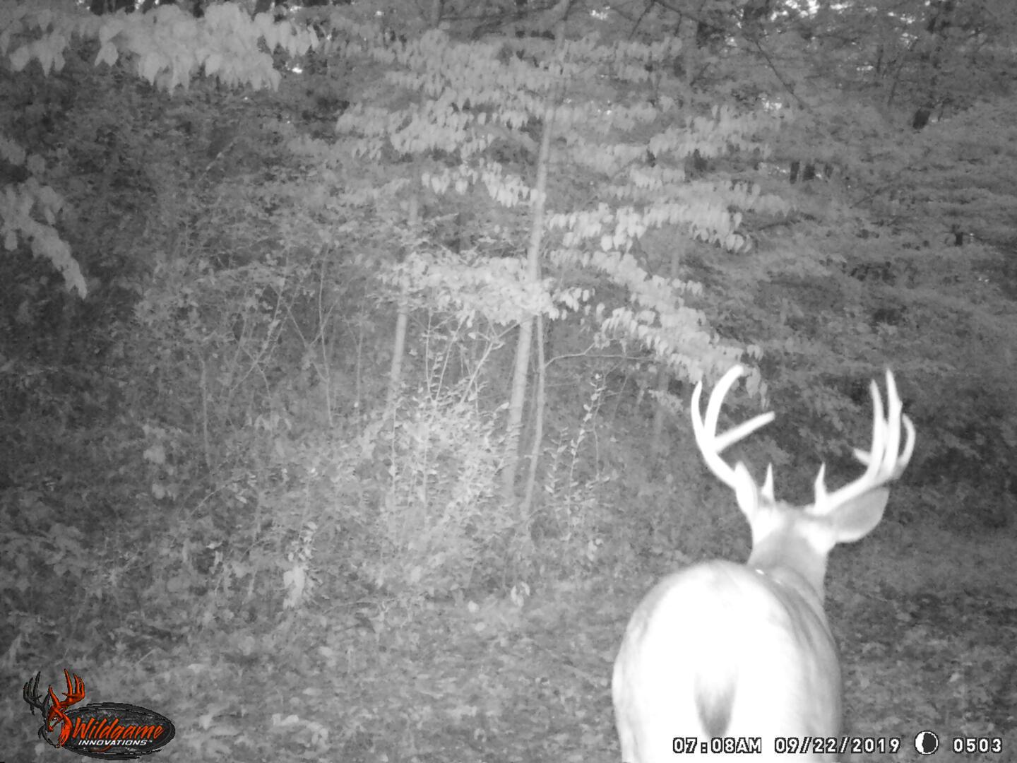 9615 Rural Dale Road Blue Rock, OH 43720 - Photo 77 of 83 9615 Rural Dale Rd-77