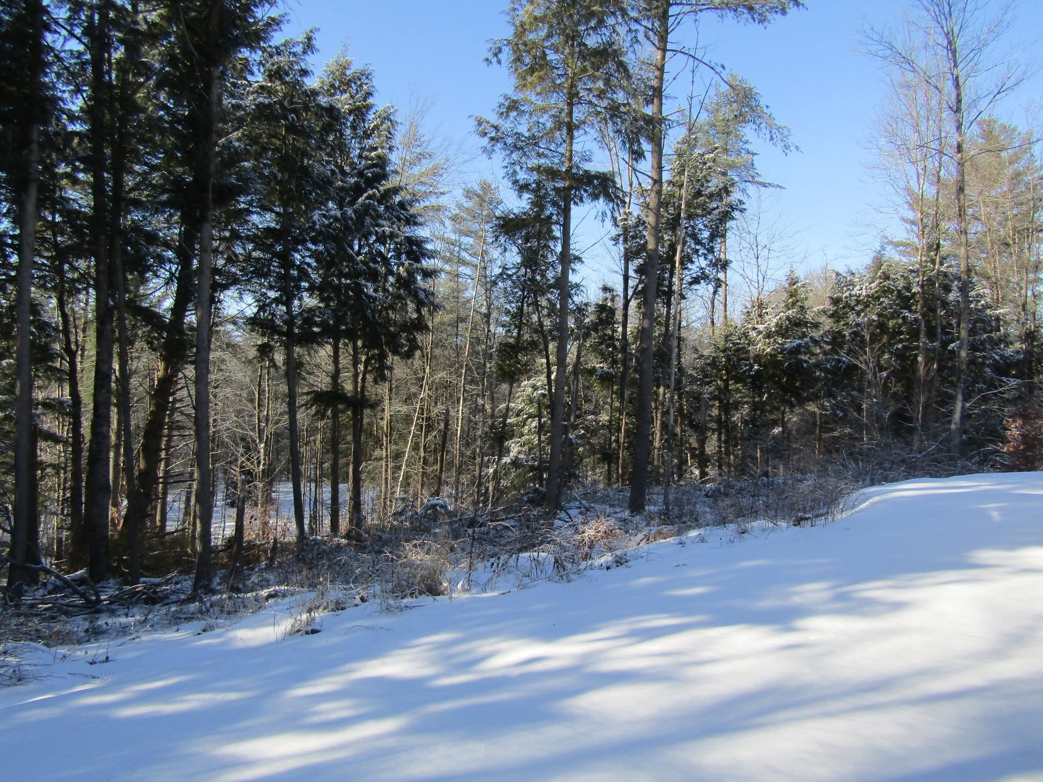 142 Jaylynn Lane Sheldon, VT 05457 - Photo 58 of 60