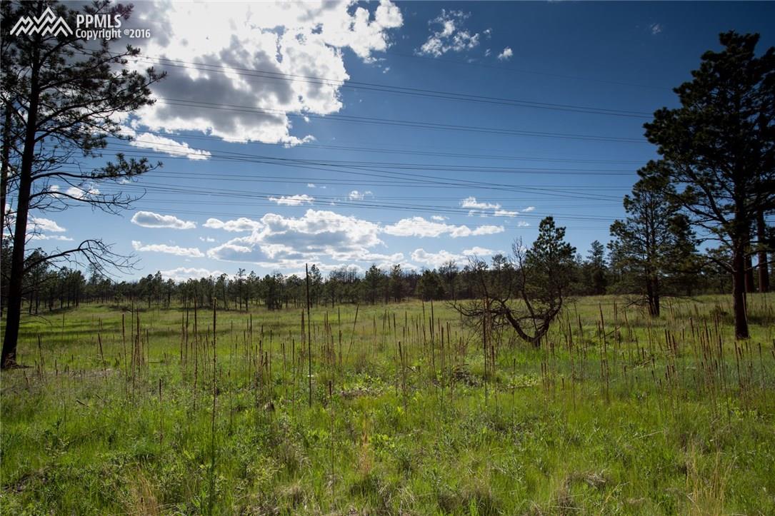 12812 Goodson Road Colorado Springs, CO 80908 - Photo 4 of 12 View from the west of the property. You will never have neighbors on this side due to easement