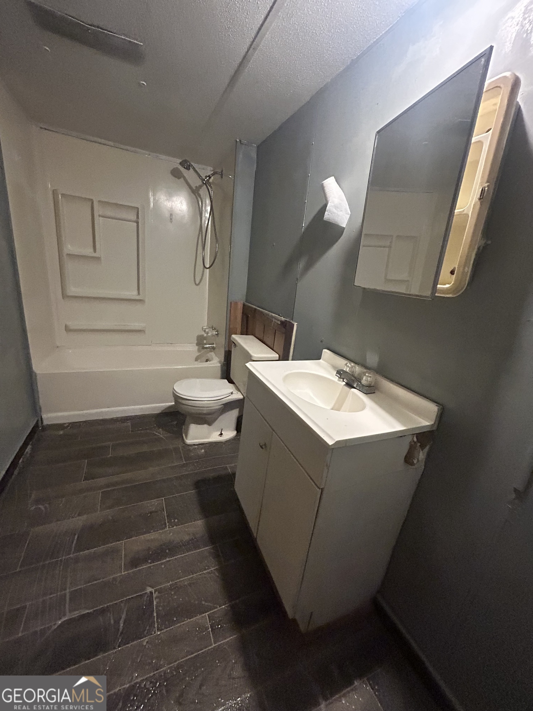 264 Lakeview Drive Locust Grove, GA 30248 - Photo 4 of 13 a bathroom with a sink toilet and shower