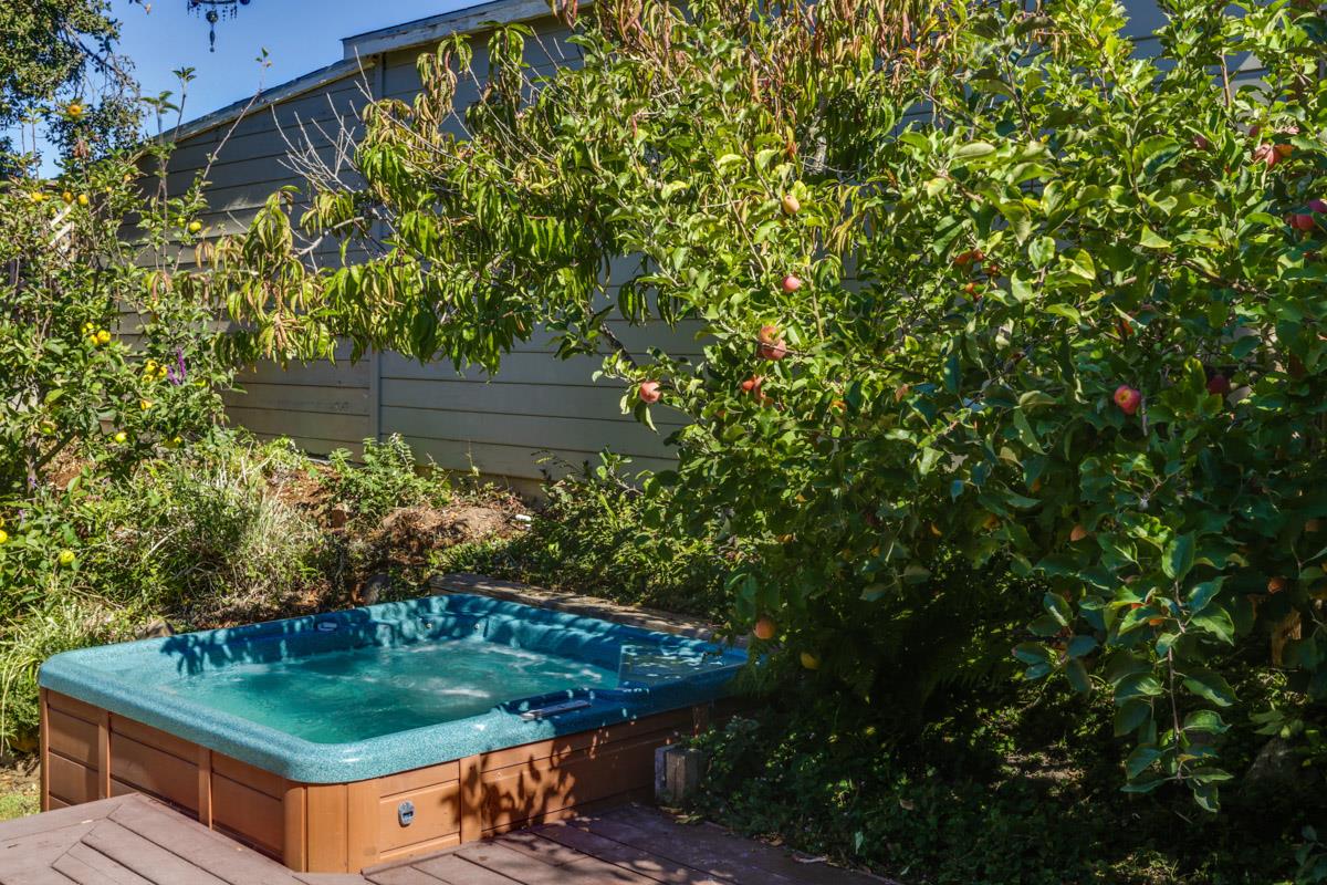 211 Berkeley Way Santa Cruz, CA 95062 - Photo 16 of 17 Gallery Image 16