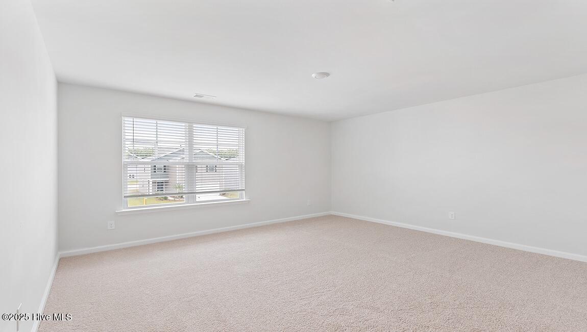 5361 Areca Road, Unit LOT 416 Castle Hayne, NC 28429 - Photo 11 of 45 Interior photos are of similar home, actual home features and colors will vary