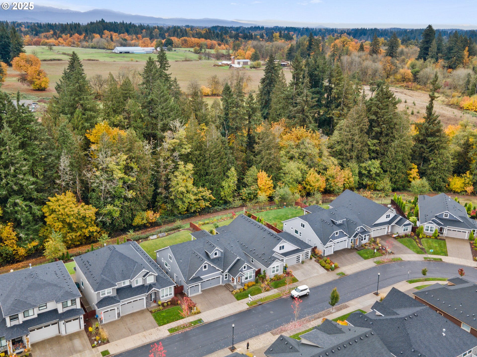 1820 South 51st Place Ridgefield, WA 98642 - Photo 2 of 36 Gallery Image 2