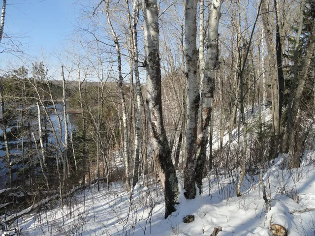 $150,000 | 6165 Voyageur's Trail, Biwabik, MN 55705