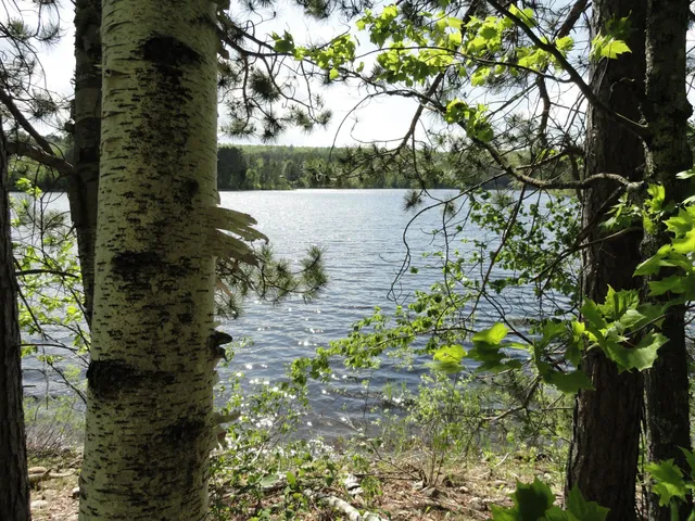 $150,000 | 6165 Voyageur's Trail, Biwabik, MN 55705