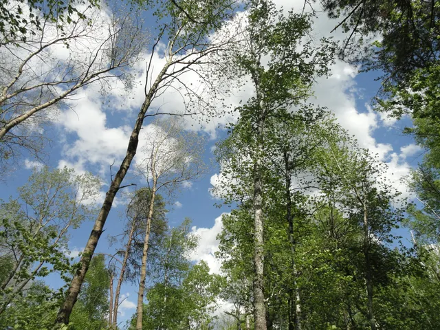 $150,000 | 6165 Voyageur's Trail, Biwabik, MN 55705