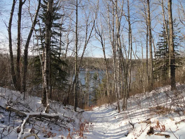 $150,000 | 6165 Voyageur's Trail, Biwabik, MN 55705