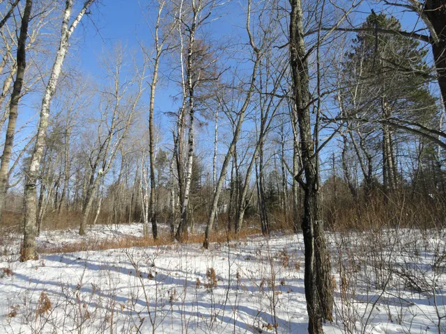 $150,000 | 6165 Voyageur's Trail, Biwabik, MN 55705