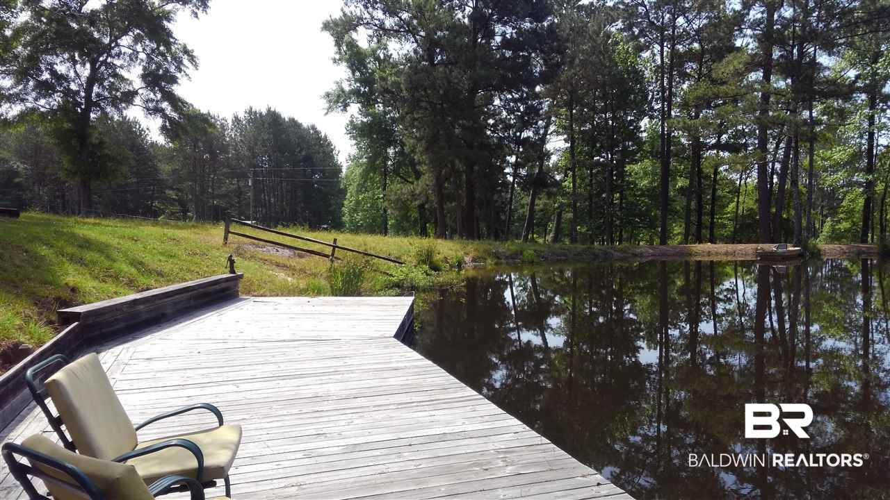298 A A Bodiford Road Castleberry, AL 36432 - Photo 26 of 29