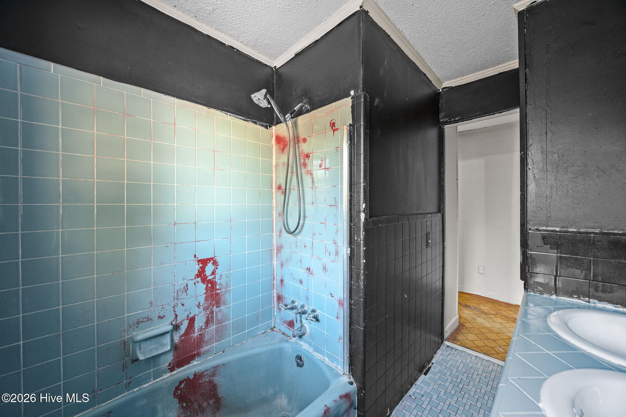 1358 Warrentown Road Snow Hill, NC 28580 - Photo 21 of 47 Bathroom 2