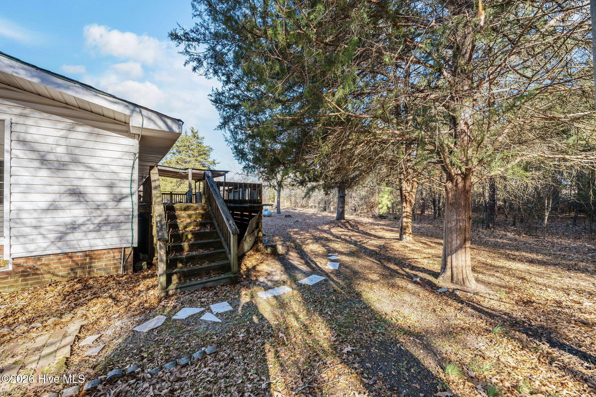 1358 Warrentown Road Snow Hill, NC 28580 - Photo 31 of 47 Back Yard
