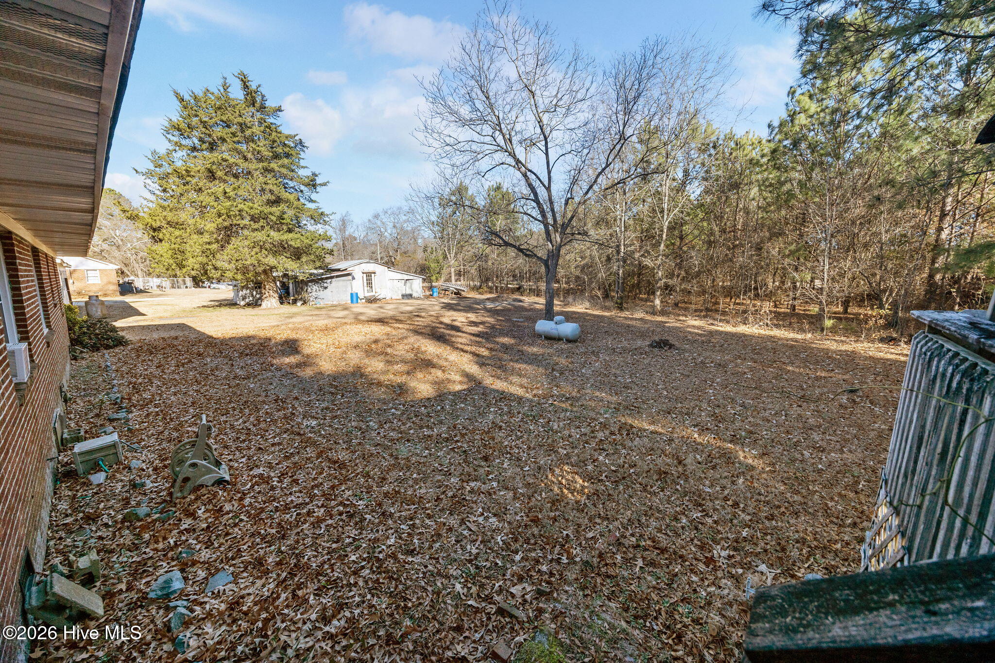 1358 Warrentown Road Snow Hill, NC 28580 - Photo 36 of 47 Back Yard