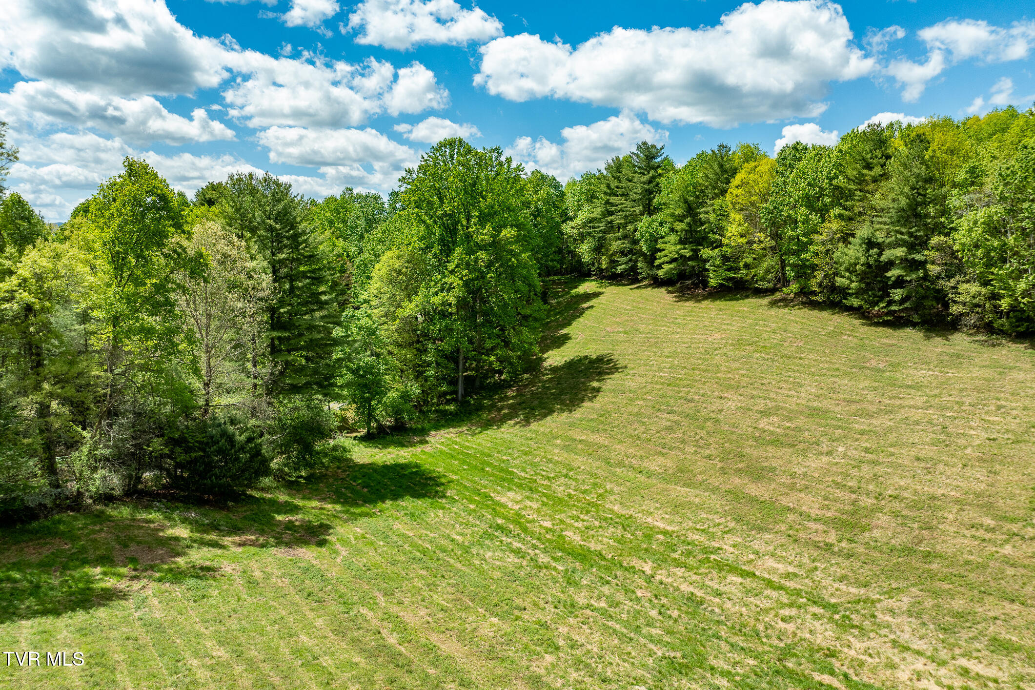 835 Red Brush Road Mountain City, TN 37683 - Photo 23 of 60 835 Red Brush Road (23 of 60)
