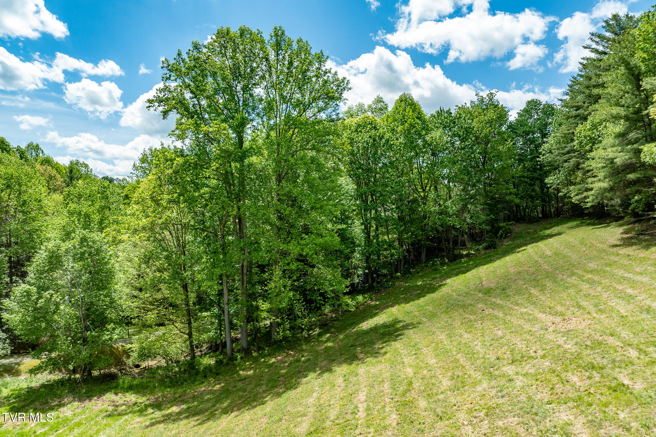 835 Red Brush Road Mountain City, TN 37683 - Photo 24 of 60 835 Red Brush Road (24 of 60)
