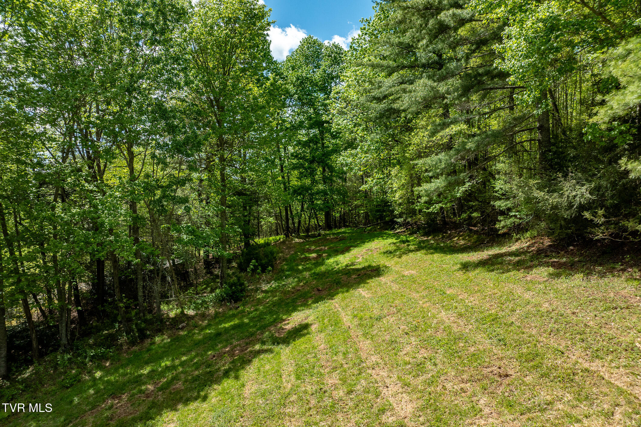835 Red Brush Road Mountain City, TN 37683 - Photo 25 of 60 835 Red Brush Road (25 of 60)