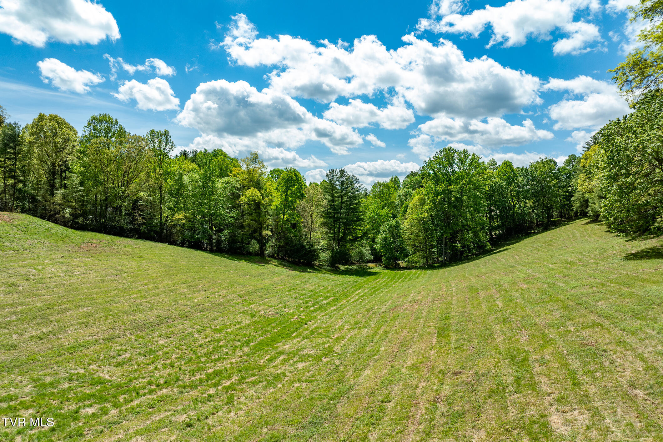 835 Red Brush Road Mountain City, TN 37683 - Photo 29 of 60 835 Red Brush Road (29 of 60)