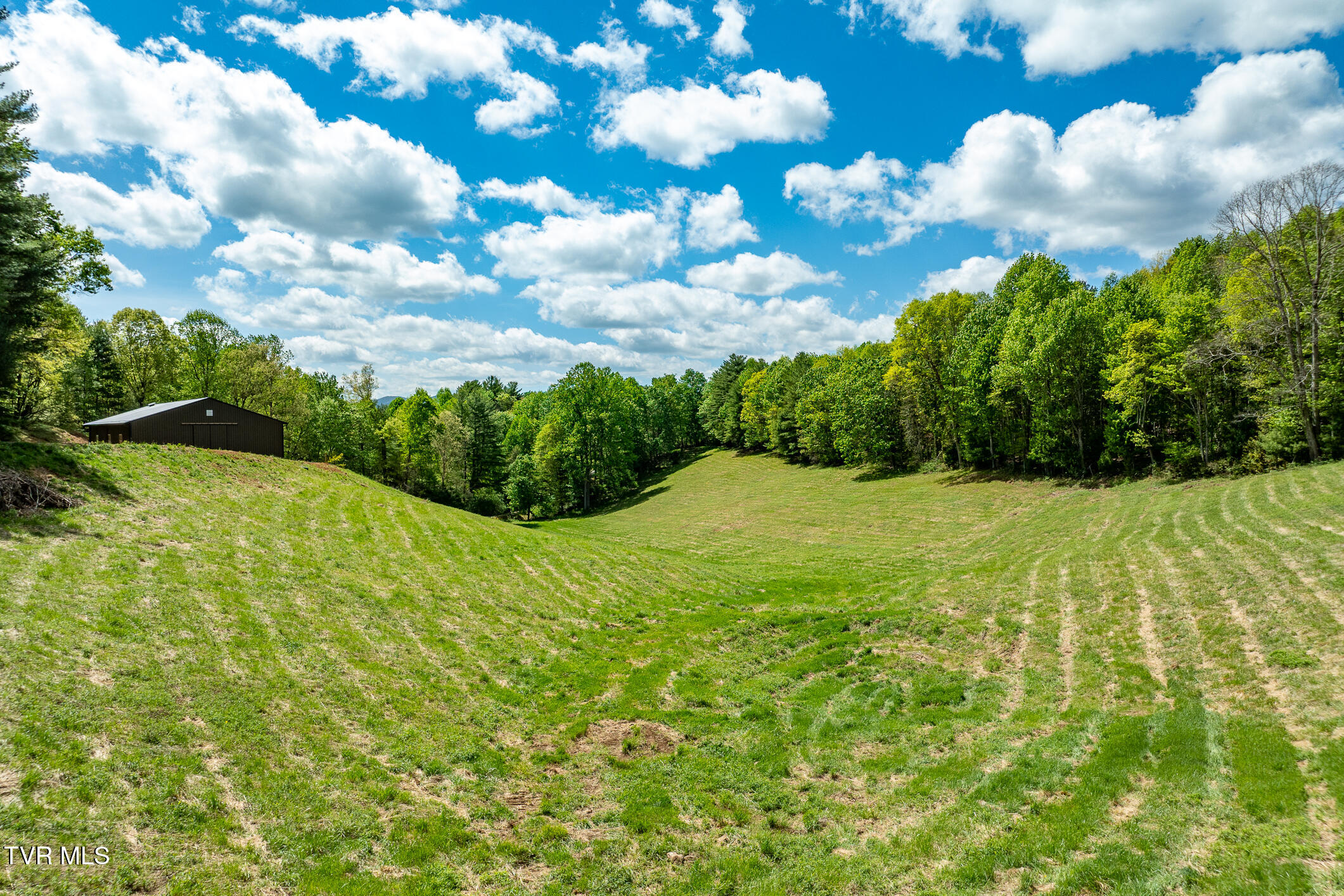 835 Red Brush Road Mountain City, TN 37683 - Photo 30 of 60 835 Red Brush Road (30 of 60)