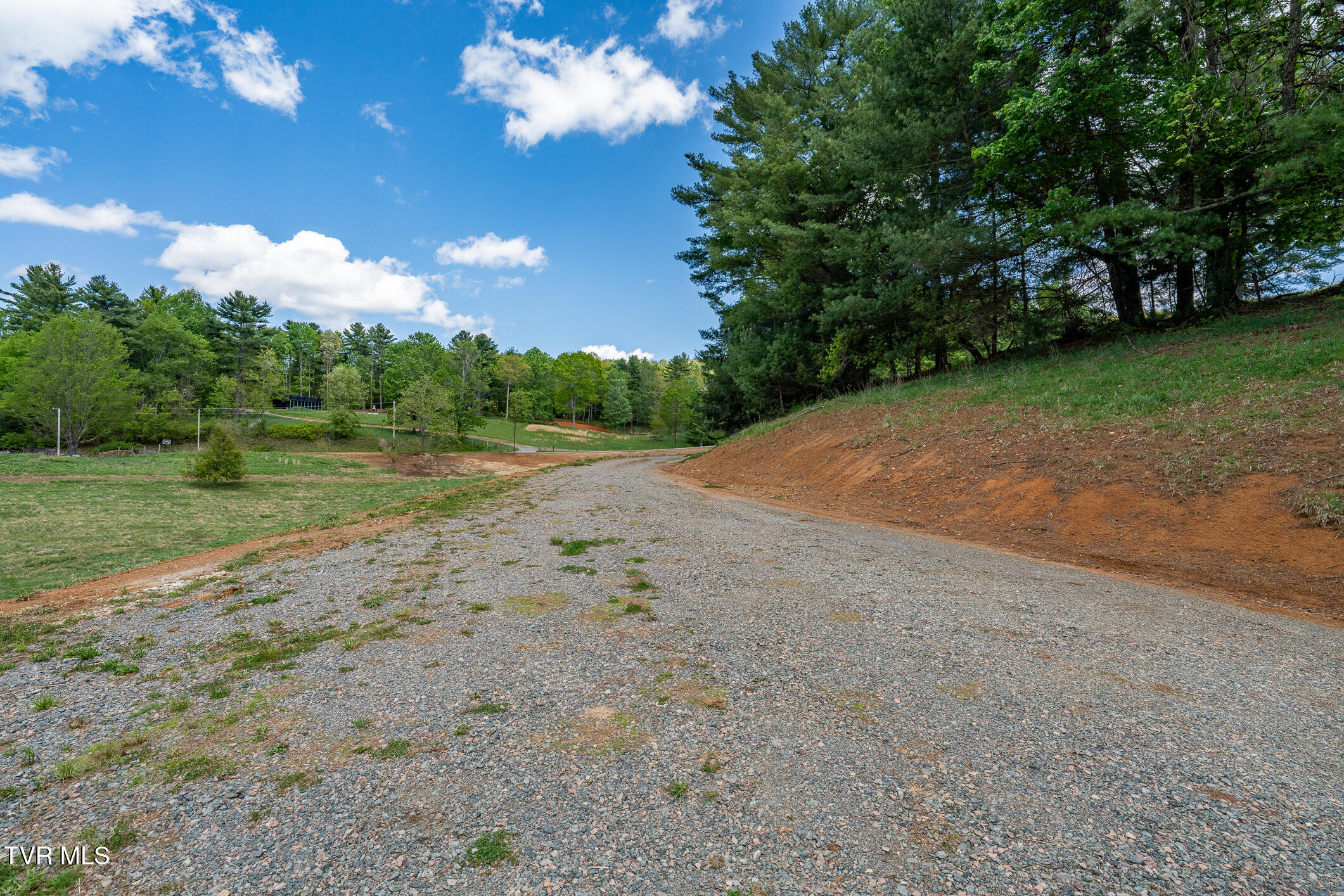 835 Red Brush Road Mountain City, TN 37683 - Photo 35 of 60 835 Red Brush Road (35 of 60)