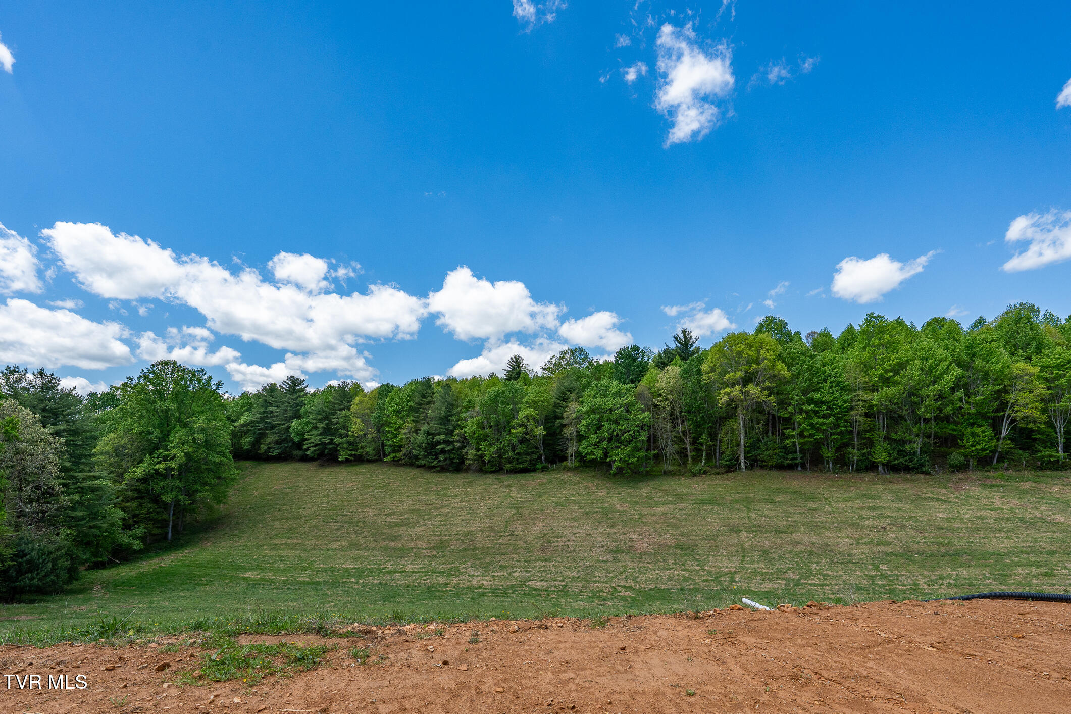 835 Red Brush Road Mountain City, TN 37683 - Photo 39 of 60 835 Red Brush Road (39 of 60)