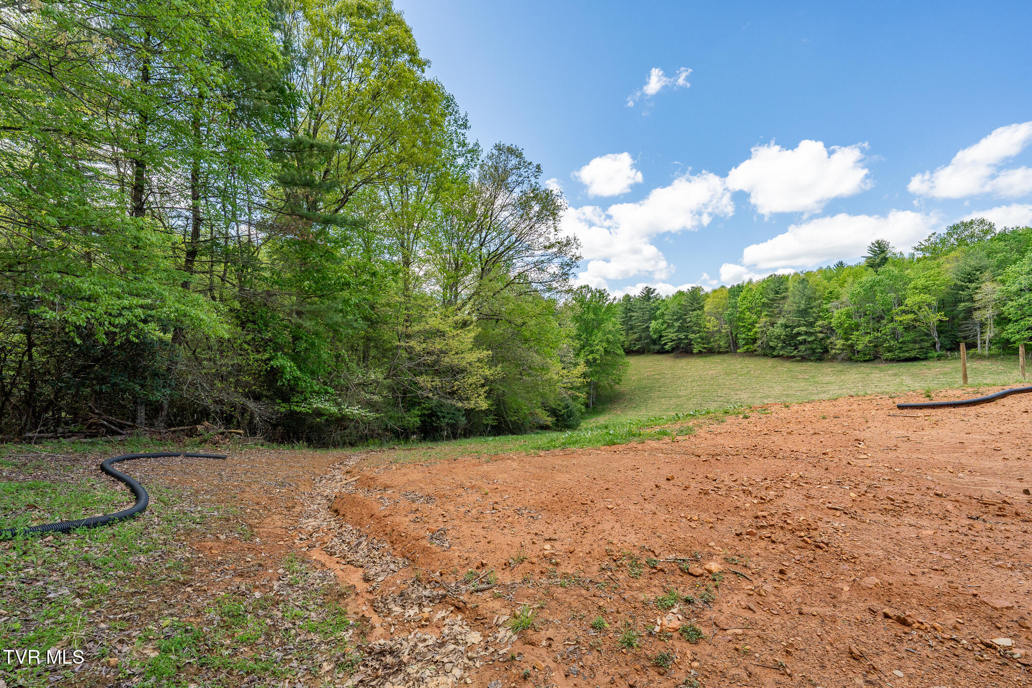 835 Red Brush Road Mountain City, TN 37683 - Photo 43 of 60 835 Red Brush Road (43 of 60)