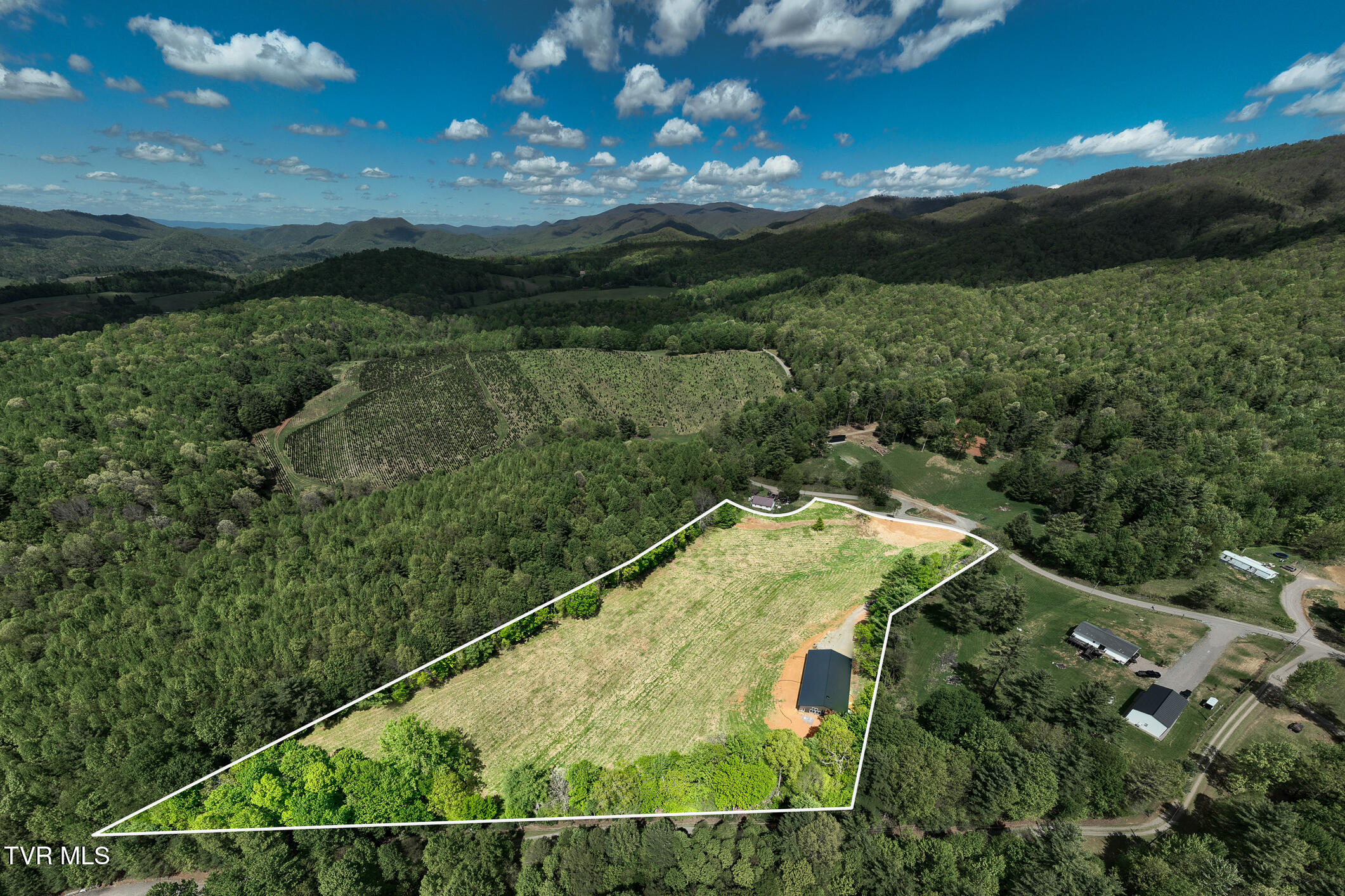 835 Red Brush Road Mountain City, TN 37683 - Photo 5 of 60 835 Red Brush Road (5 of 60)